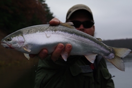 manistee salmon